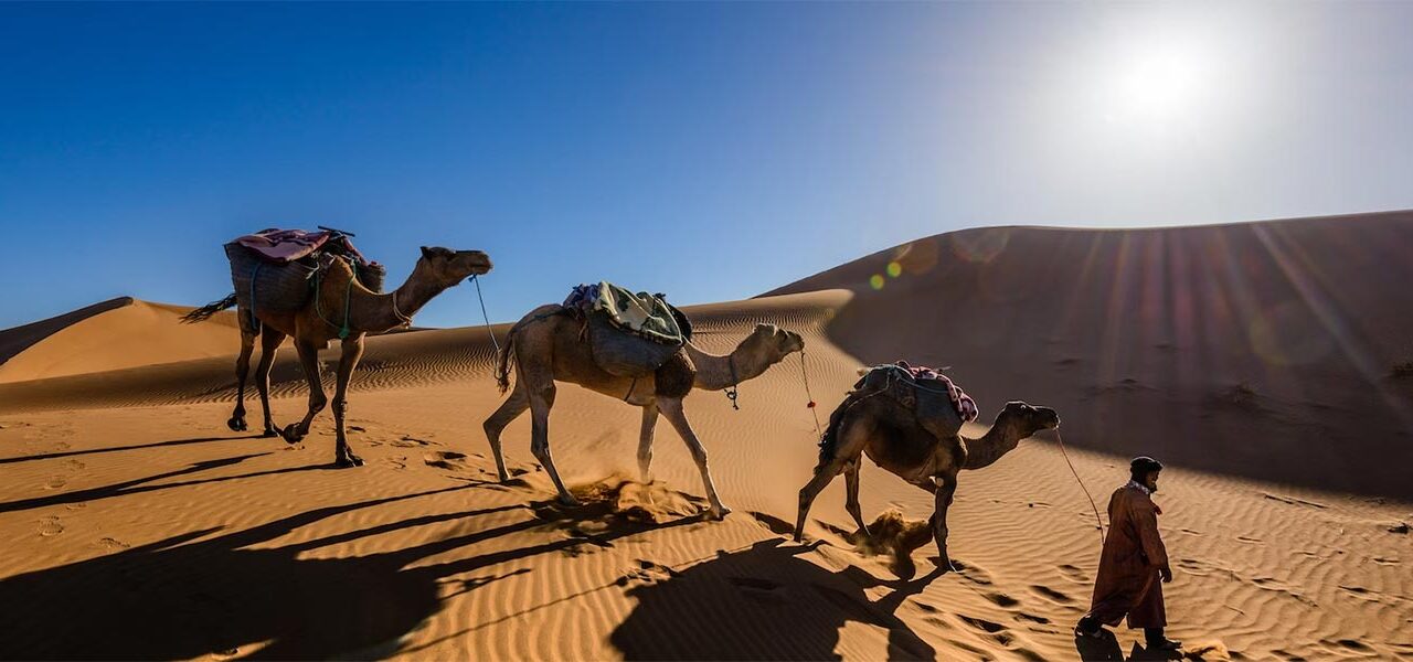 Camel trekking in the Sahara Desert, Morocco